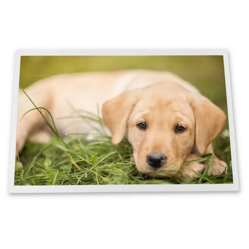 G121I1-L01 نمایشگر LCD TFT TN 12.1 اینچی با نور پس‌زمینه LED رابط LVDS 30 پین G121I1-L01 REV.C2 1280*800 پنل MVA