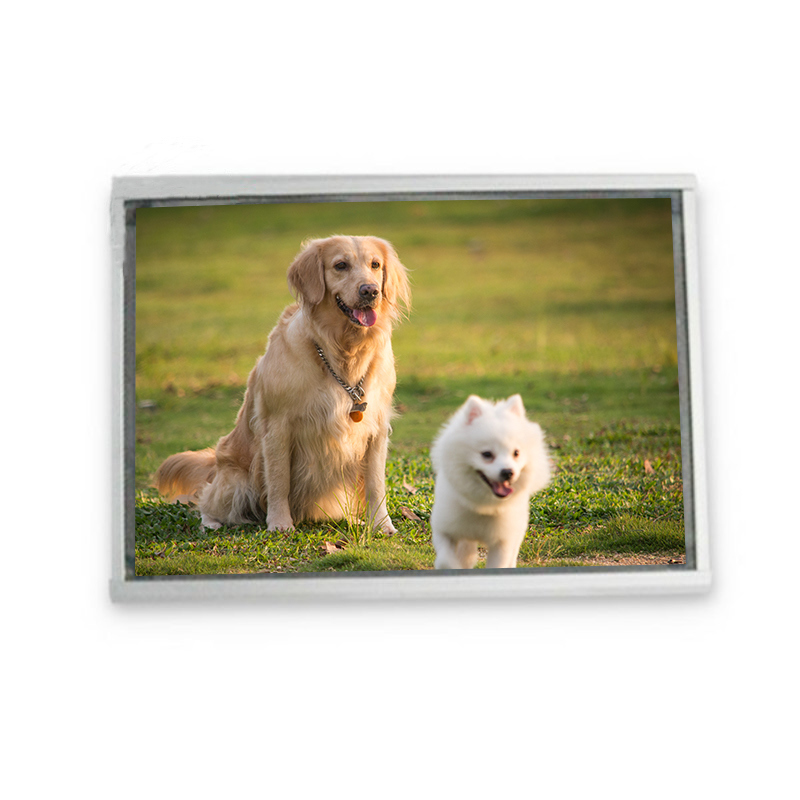 Modulo display da 9,1 pollici di alta qualità 640*400 Moduli LCD a prezzo interessante - EL640.400-C2