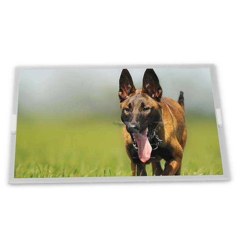 stock Compatible 8.4-Inch High Resolution WLED WLED LCD Display Module 1024*768ODM NL10276BC16-01 Features High Resolution