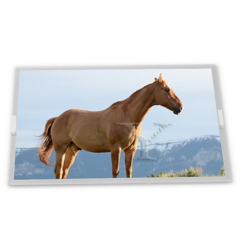 High Resolution 8.4-Inch stock Compatible WLED LCD Display Module 1024*768 High Quality ODM NL10276BC16-01