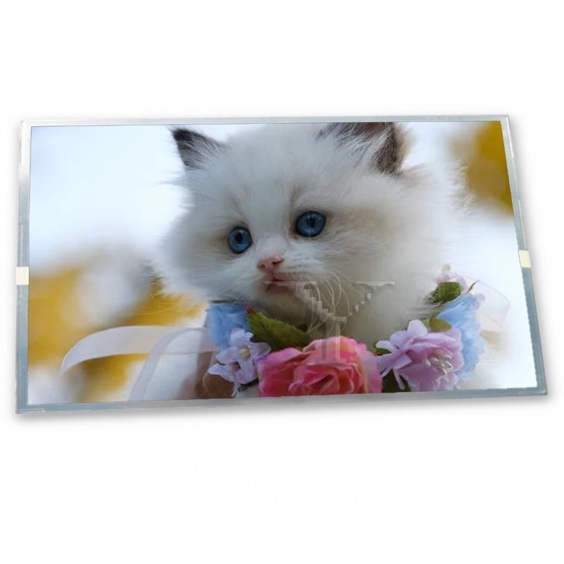 720(RGB)*1280 صفحه نمایش لمسی 5 اینچی LTPS TFT-LCD با کیفیت بالا و جدید ماژول نمایشگر LCD TL050JGXP01 محصول با کیفیت