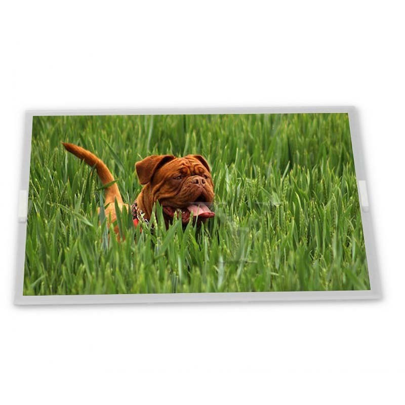 ماژول های نمایشگر LCD TFT 5 اینچی COG-VLITT1654-08، پنل صفحه لمسی با کیفیت بالا و جدید موجود است، تامین کننده با کیفیت، قیمت مناسب