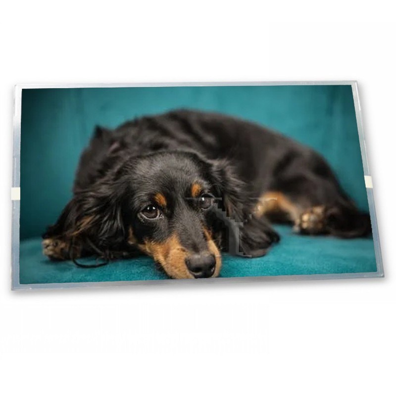 A035CN02 V4 3.5 inch 480*234 display monitors small screen cheap price lcd screen TFT Gold supplier