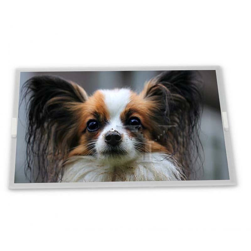 Online One-stop Shopping NL4864HC13-01A Lcd Panel 4.2 Inch 480*640 Lcd Display Module