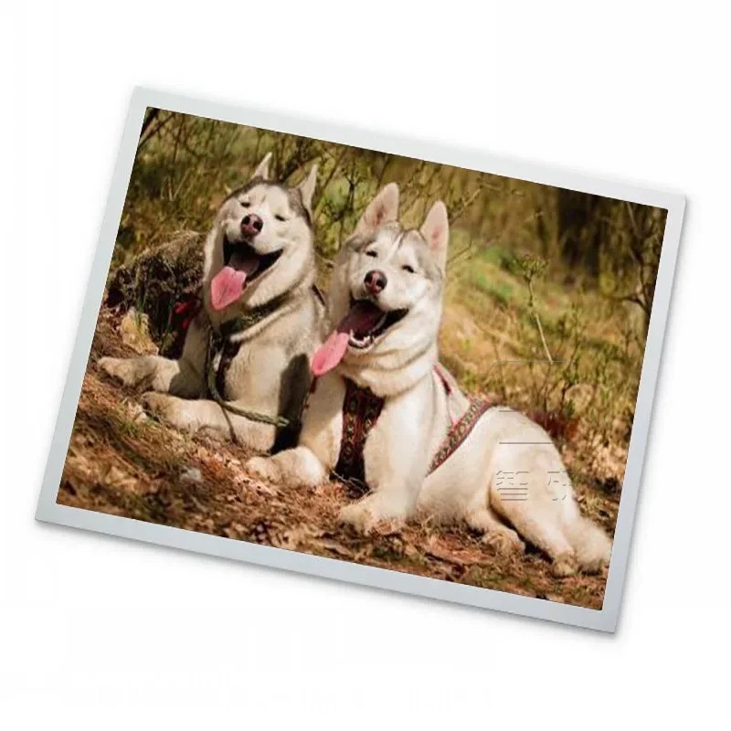 10,4-Zoll 1024*768 Industrielle Steuerung Komplettes Display Panel TFT LCD Bildschirm P1040XGF1MA00 Module