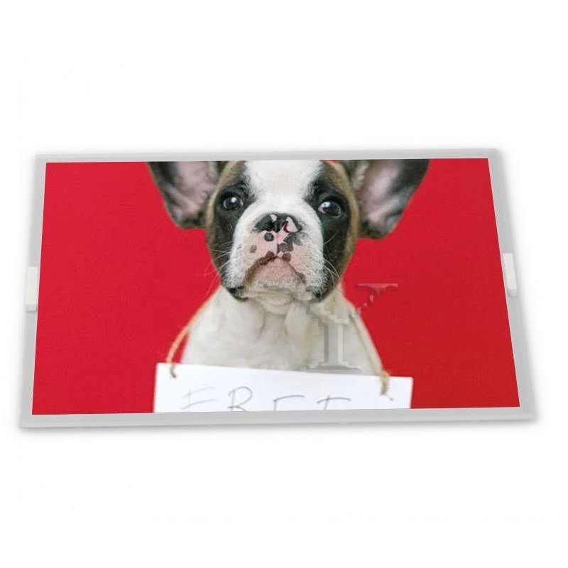 BV055FHE-N33-1Q00 TFT 5.5インチ 長方形スクリーン 産業用スクリーンの全範囲 品質サプライヤー