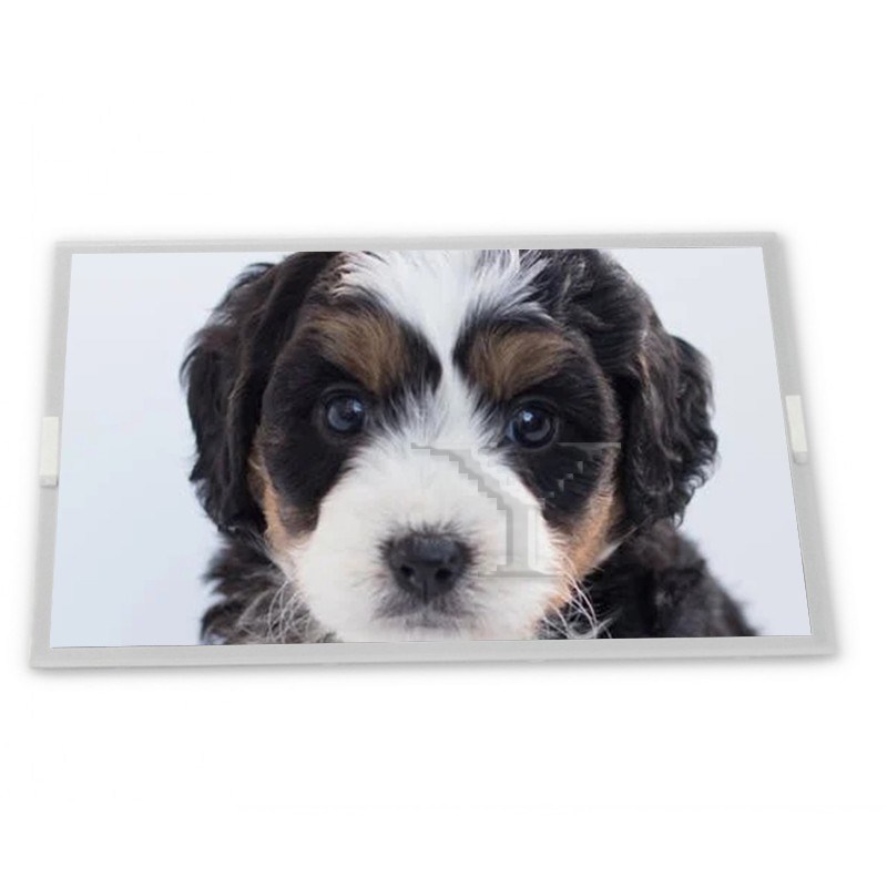 A070VTN06.1 7.0インチ 800*480 産業用LCDパネル 産業用スクリーンの完全な範囲 品質サプライヤー