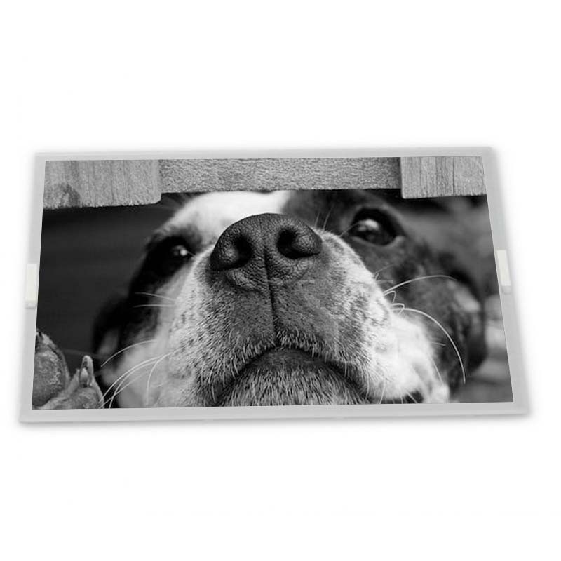 LM238WF5-SSK1 23.8 TFT LCD Ekran Modülleri Kaliteli tedarikçi tedarikçi lcd panel orijinal son derece uyarlanabilir