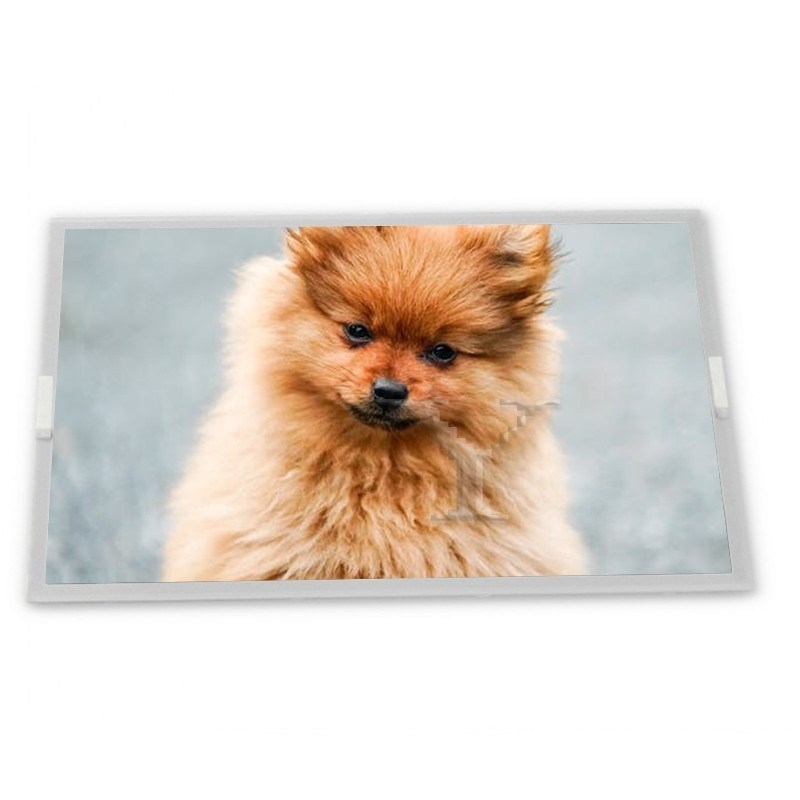 F050A46-601 5 Inch TFT LCD Display Modules LED LVDS Original Highly Adaptive Rectangular Screen Quality Supplier Good Price