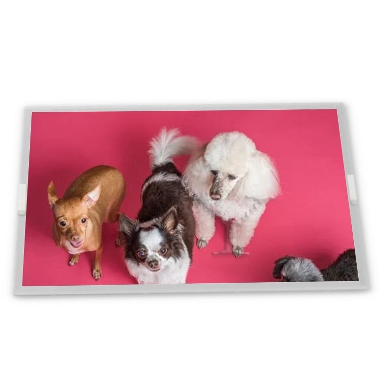 AT080TN64 8 इंच TFT LCD डिस्प्ले मॉड्यूल आपूर्तिकर्ता एलसीडी पैनल आयताकार स्क्रीन आपूर्तिकर्ता एलसीडी पैनल